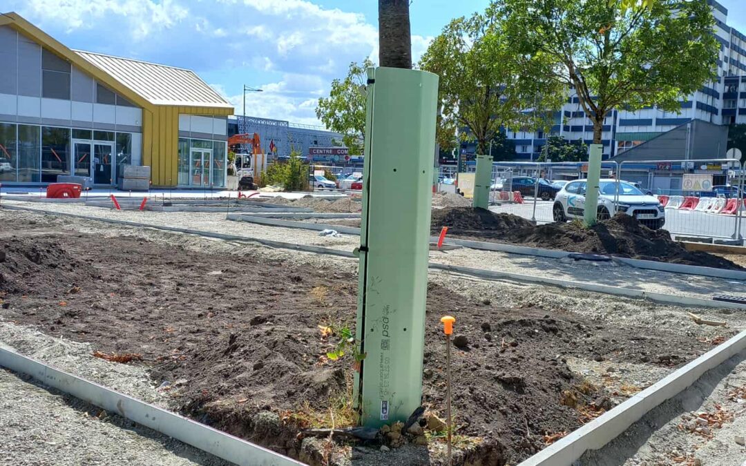 À Floirac, dans le Sud-Ouest, nos protections en mousse de PET recyclé protègent les arbres sur chantier
